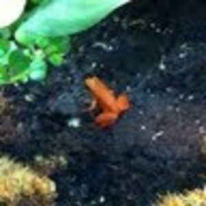 Meet your Posher, Darryl